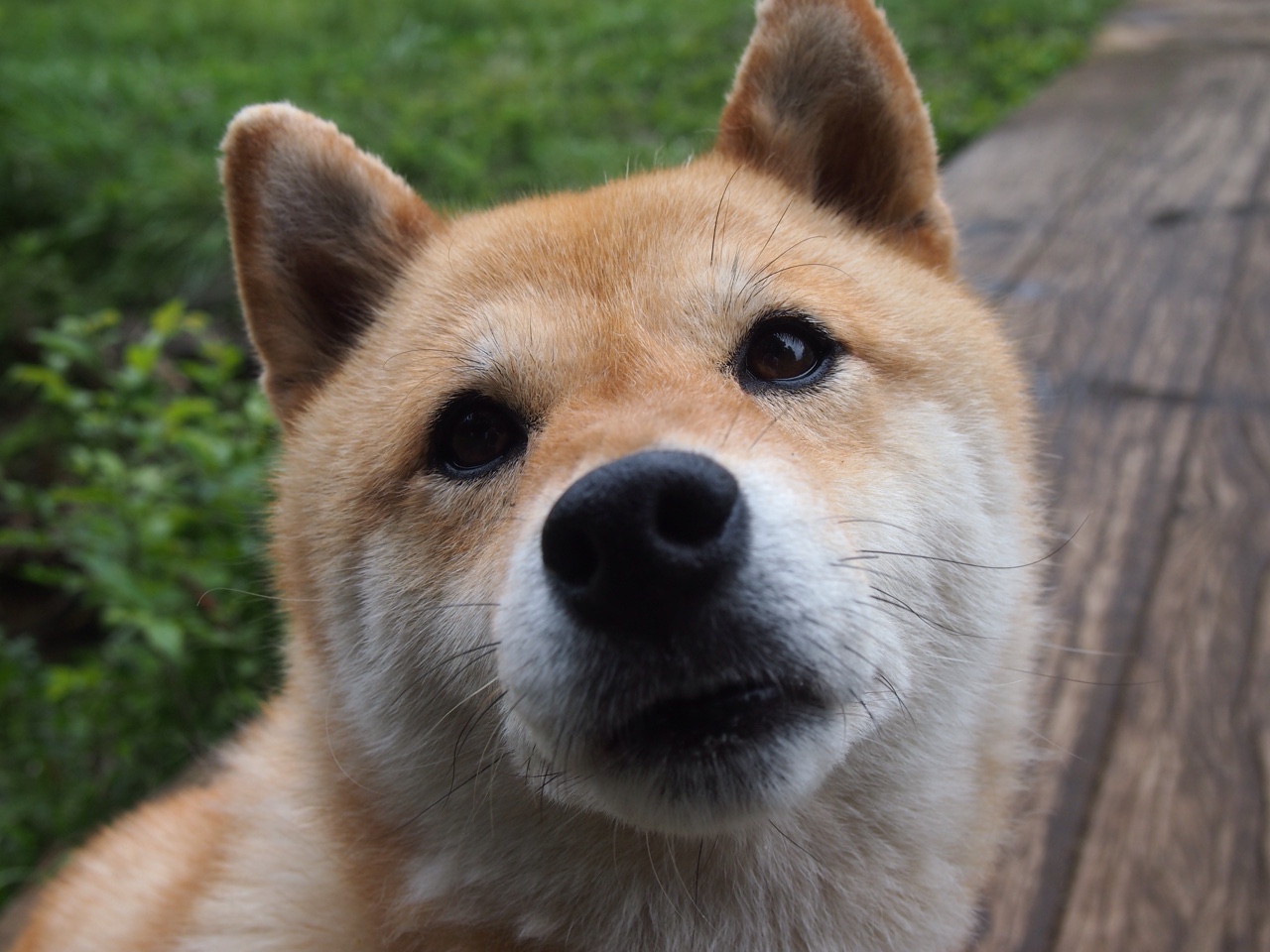 CBA联赛多场焦点战精彩纷呈,球迷叫好,cba联赛现场