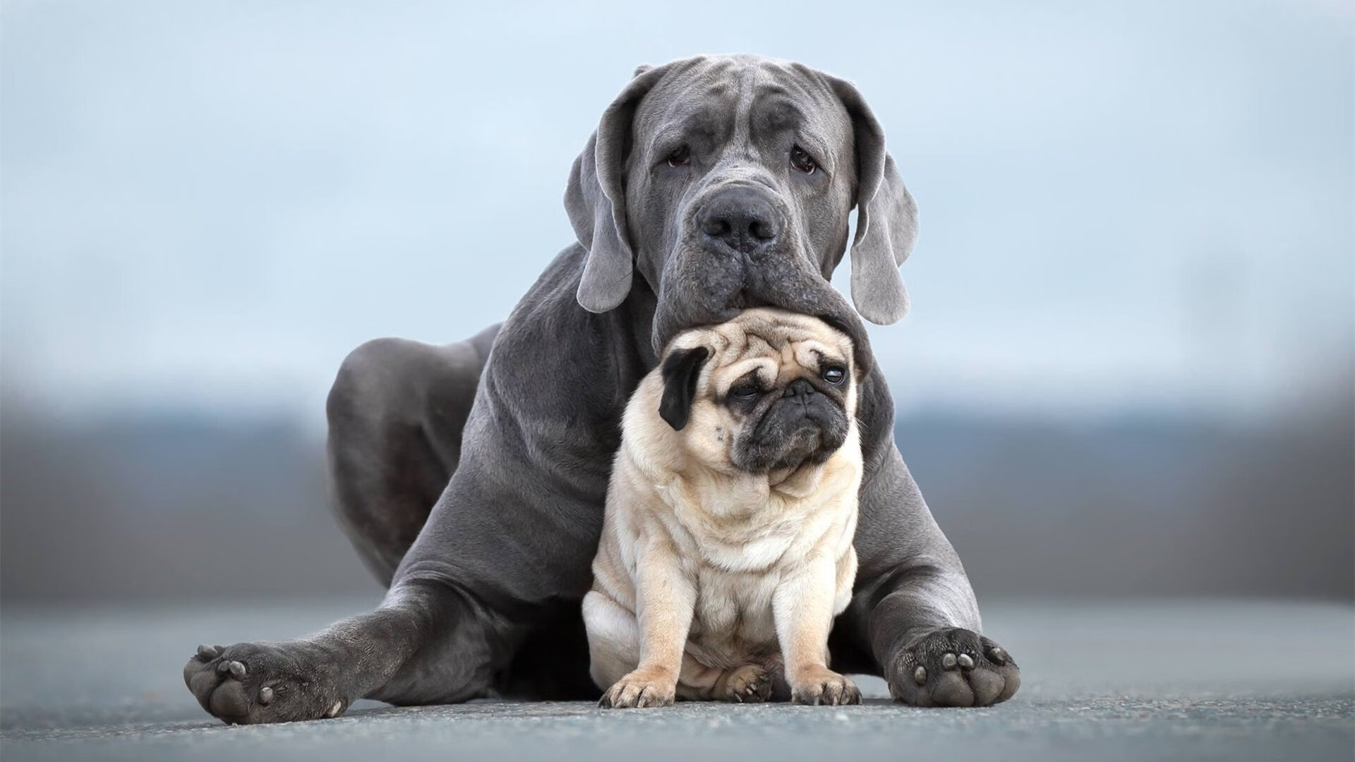 开云官方-“智慧足球创新技术落地，融合大数据提升比赛公平性”，智慧足球公众号