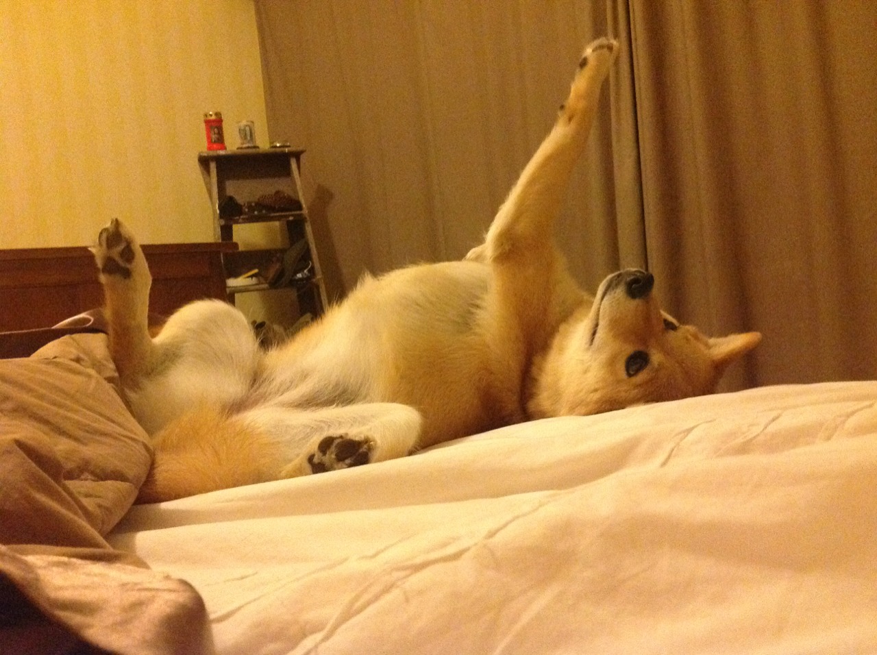 Kaiyun(中国)开云-“英超争冠烽火燎原，胜负关系到最终排名”，英超实力分析