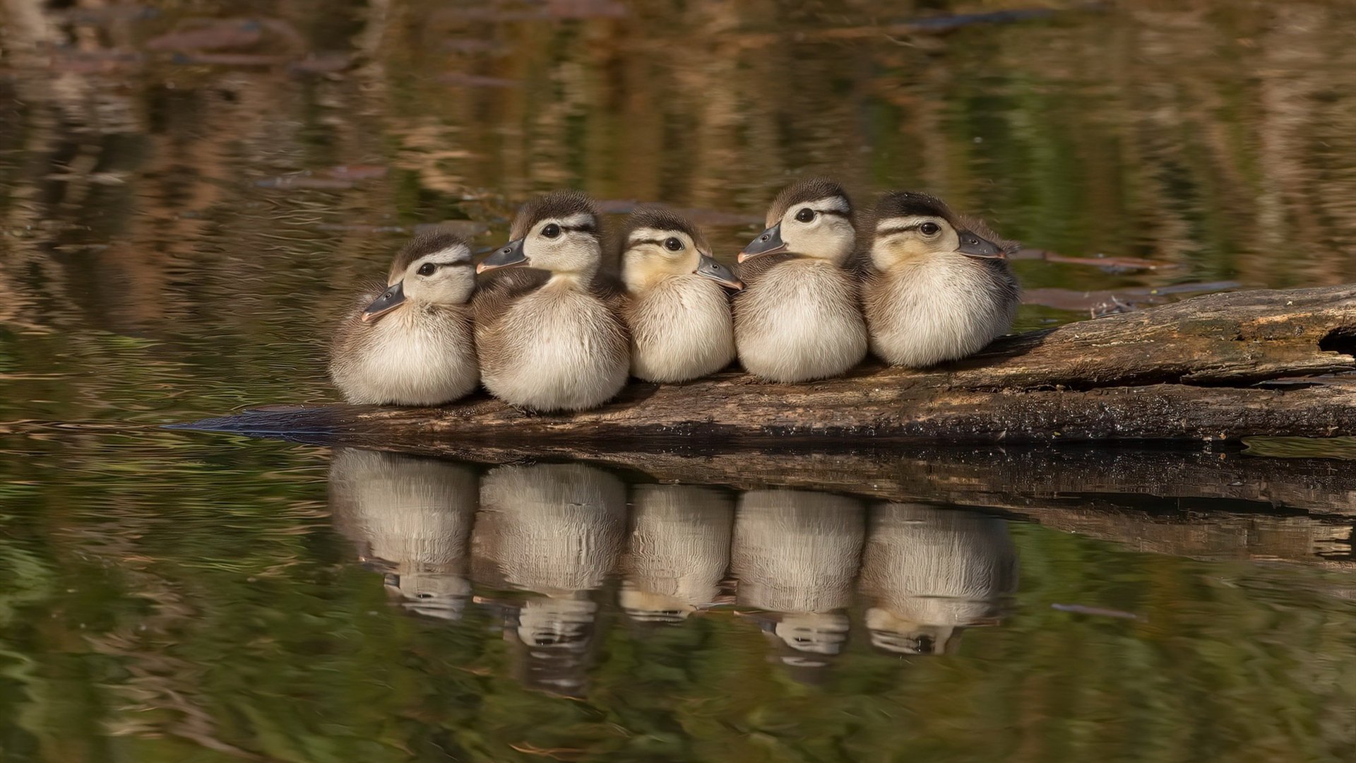 《Uzi:王者归来,再次点亮电竞世界》,uzi6年电竞