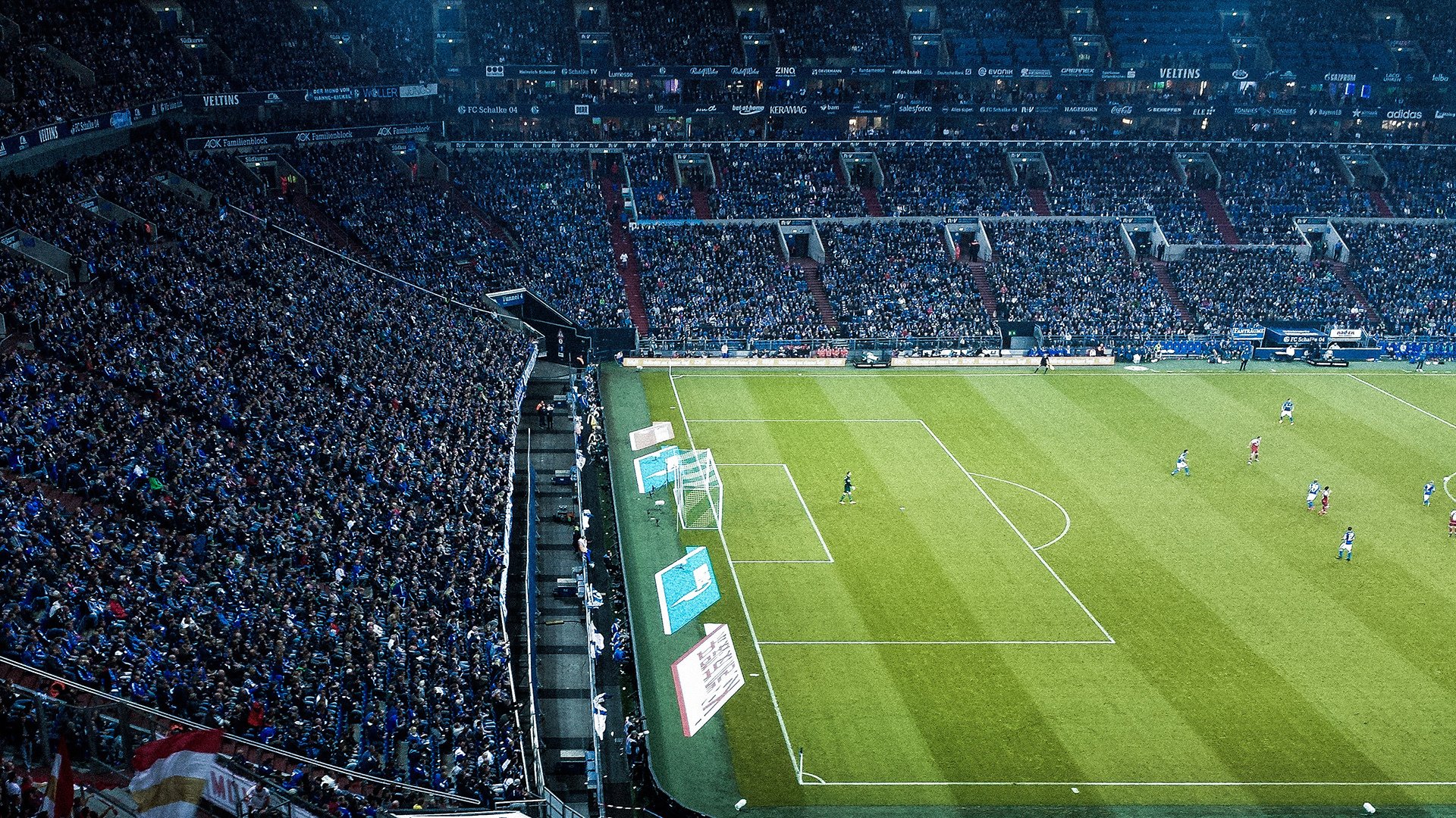 绿色环保行动:NBA迈向可持续发展的未来,绿色环保行为