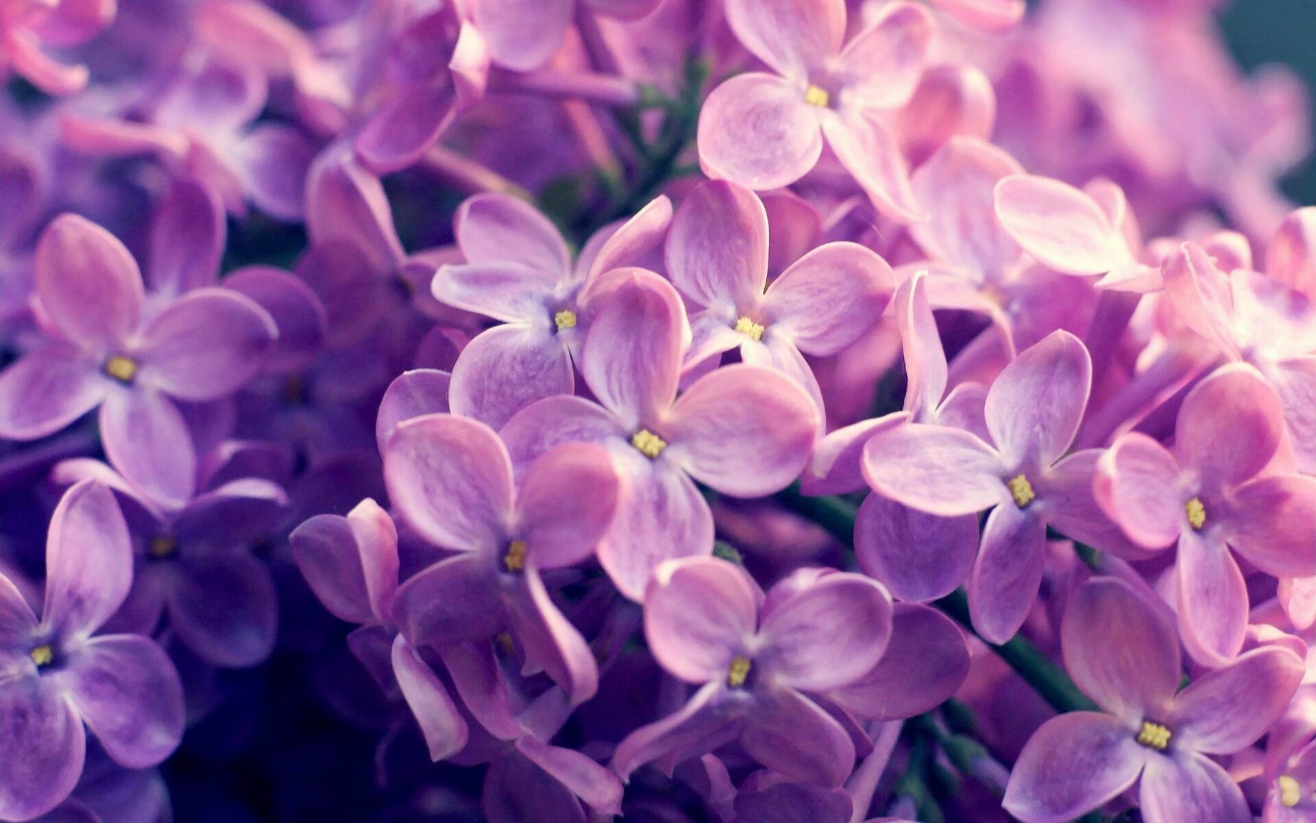 开云kaiyun-经典互动：网友投票选出最难忘球场瞬间