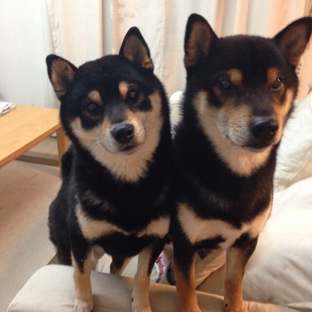 kaiyun开云·官方网站-青少年体育精神在比赛中彰显，推动体育文化价值深植社会，推动青少年体育事业蓬勃发展的文件