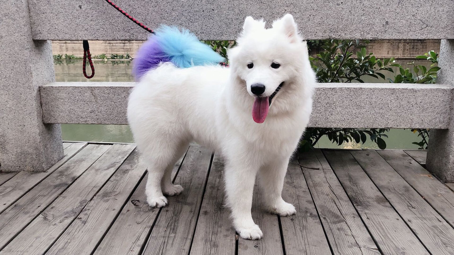 Kaiyun APP-青少年篮球“追梦之旅”系列公益广告引发广泛关注，篮球追逐梦