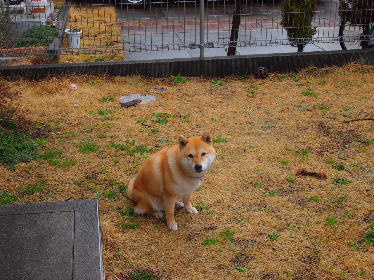 国脚训练节奏是否与联赛脱节,国脚视频