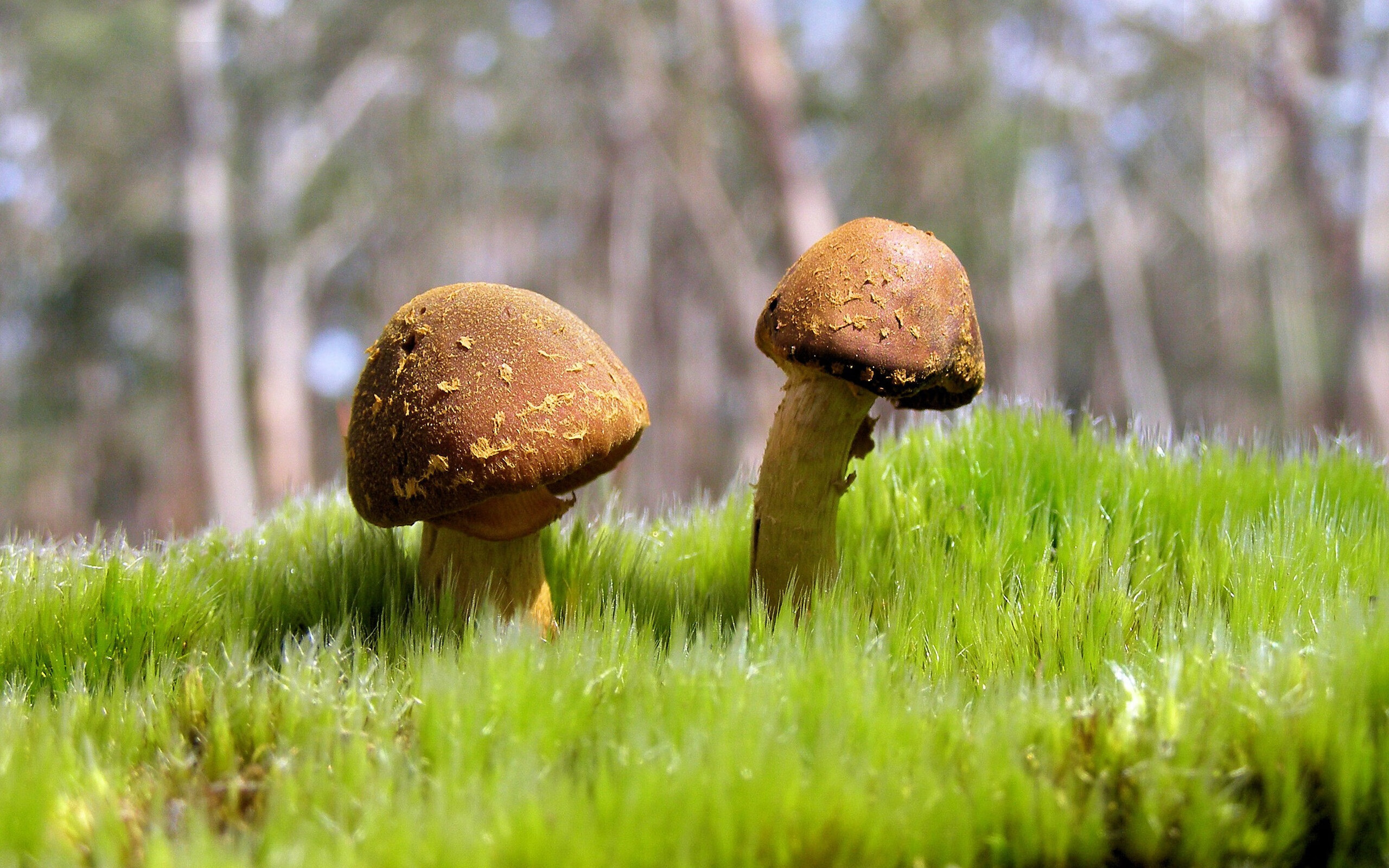 国脚训练节奏是否与联赛脱节,国脚视频