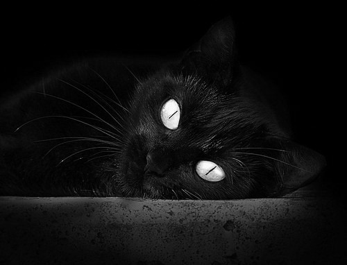 太阳核心三人组是否能共存，太阳核心层