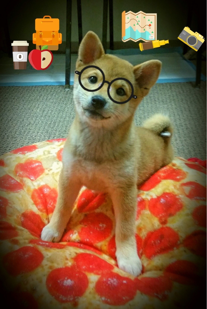 开云体育APP下载-巴斯蒂亚客场失利，法国联赛排名继续下滑，法蒂 巴塞