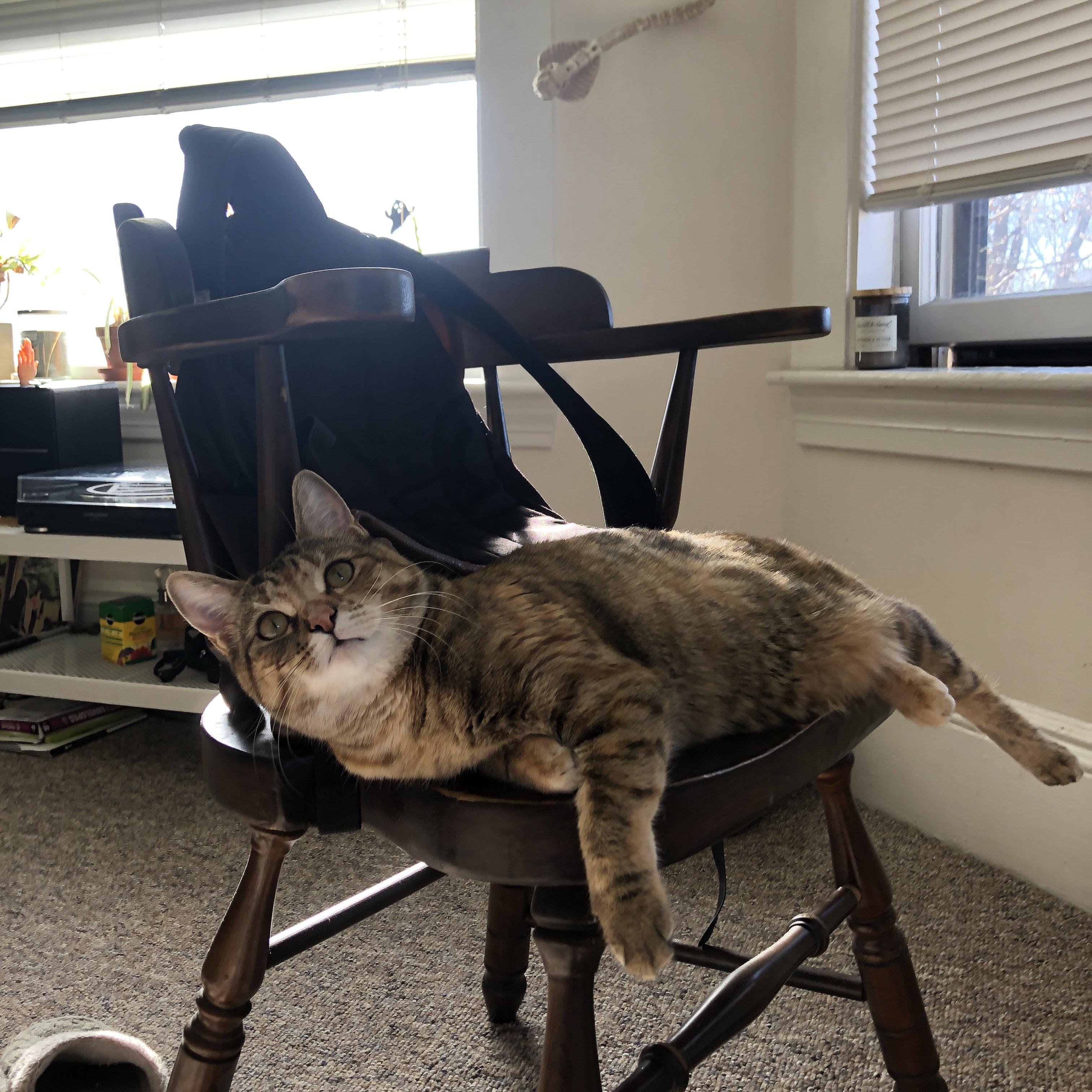 开云官方网站-巴拉多利德客场平局，暂时保持在西甲中游，巴拉多利德保级