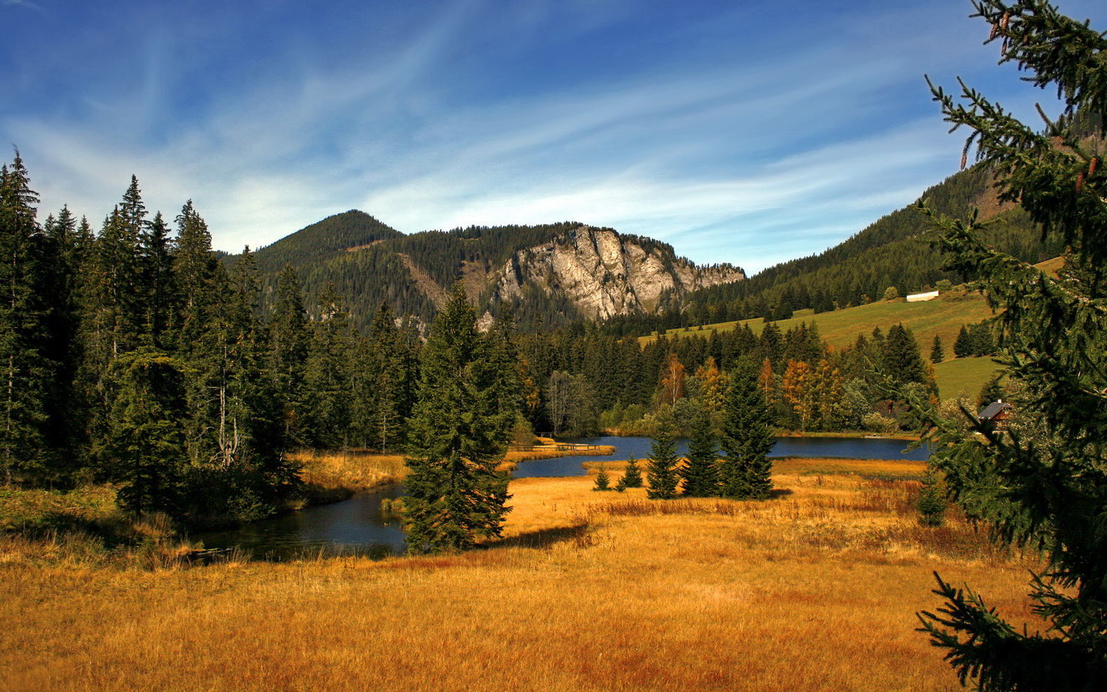 澳大利亚国家队阵容公布，澳大利亚国家队成员