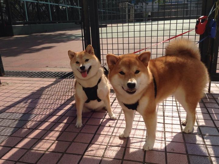 电竞城市推动区域经济多元发展，电竞城市发展指数