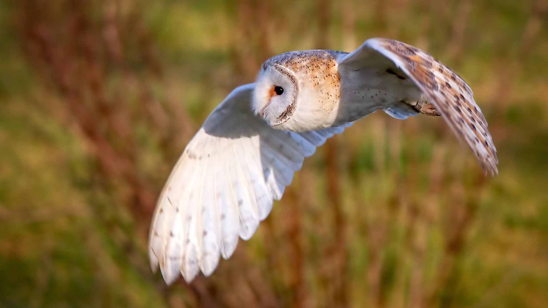 开云中国大陆-电竞城市营造良好电竞创业环境，电竞市场环境