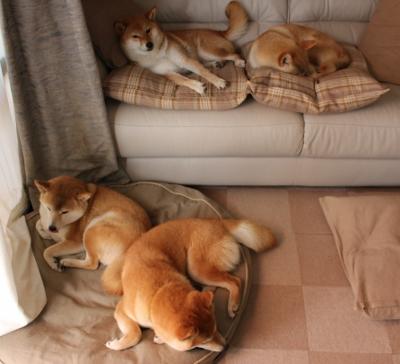 中国男篮保持高频次热身计划,中国男篮保持高频次热身计划视频