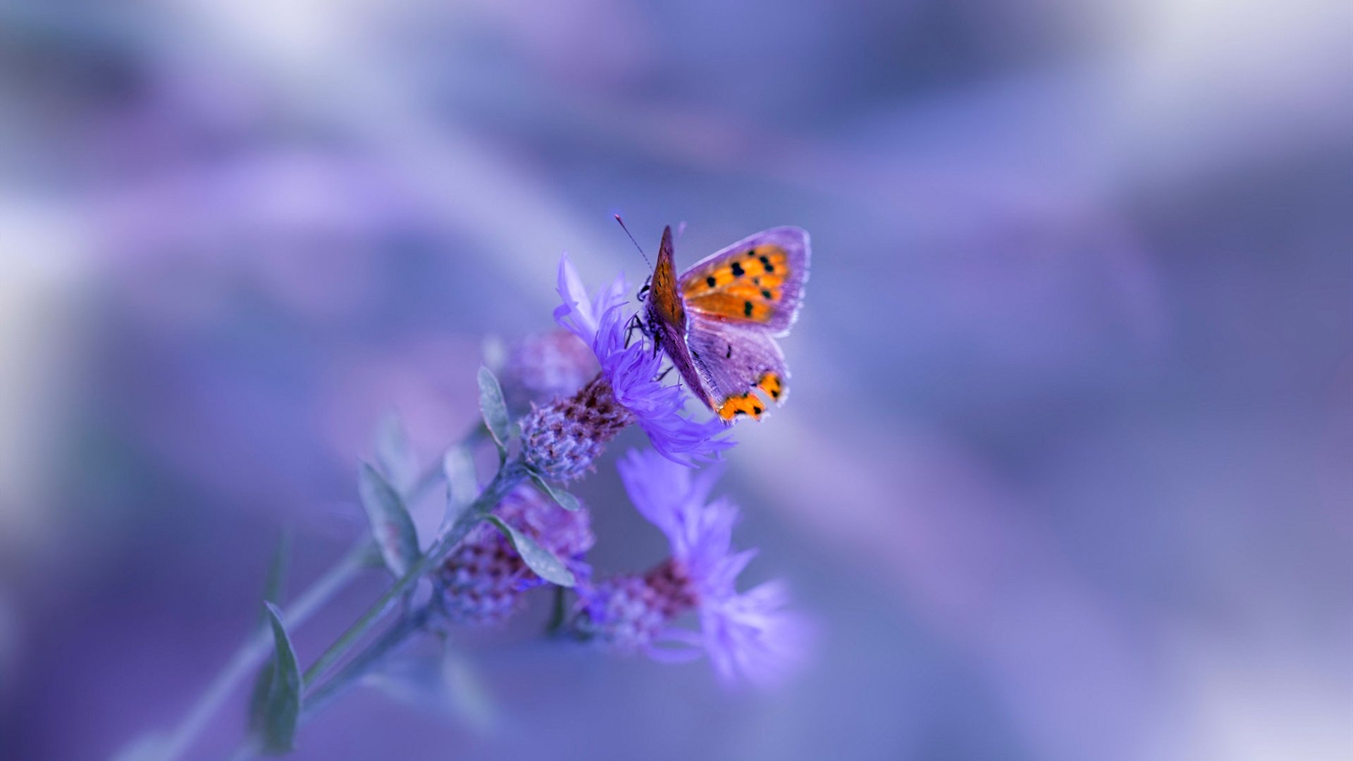 体育文化活动促进全民健康生活,助力全民健身活动促进体育事业发展