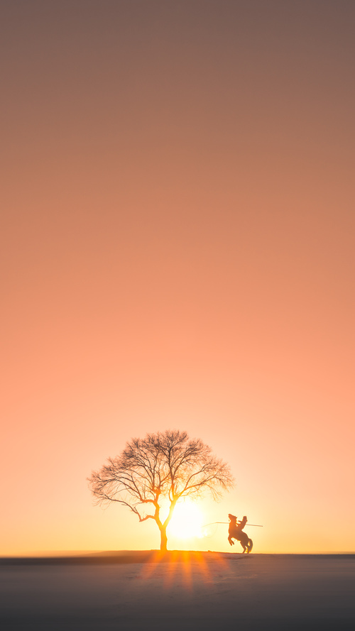 Kaiyun APP-新闻中心定期发布锻炼指南与健康提示专栏，新闻中心定期发布锻炼指南与健康提示专栏怎么写