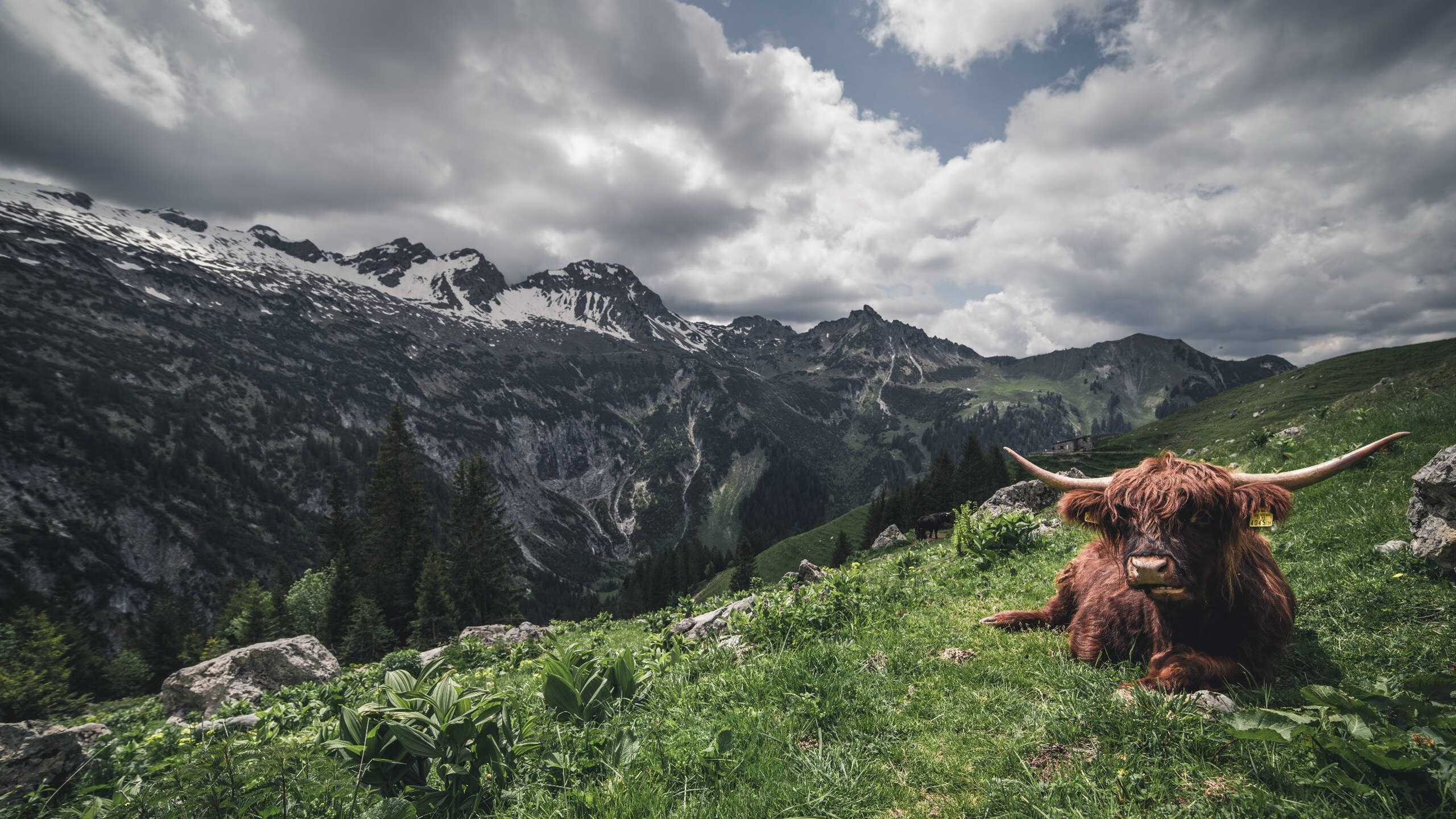 蝶泳选手划幅优化，后程爆发力增强，蝶泳划手动作